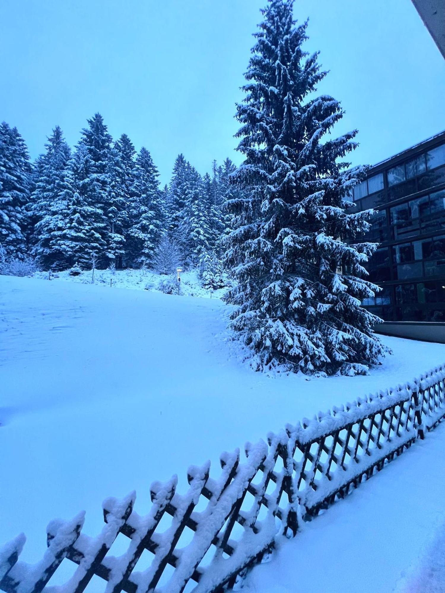 Appartamento Ma Montagne Chic 4 La Bresse Esterno foto